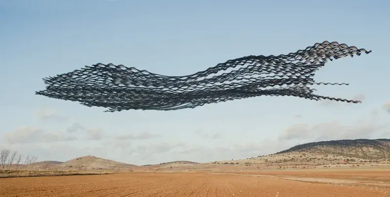 Time-lapse photography showing the emergent patterns of bird flock movement